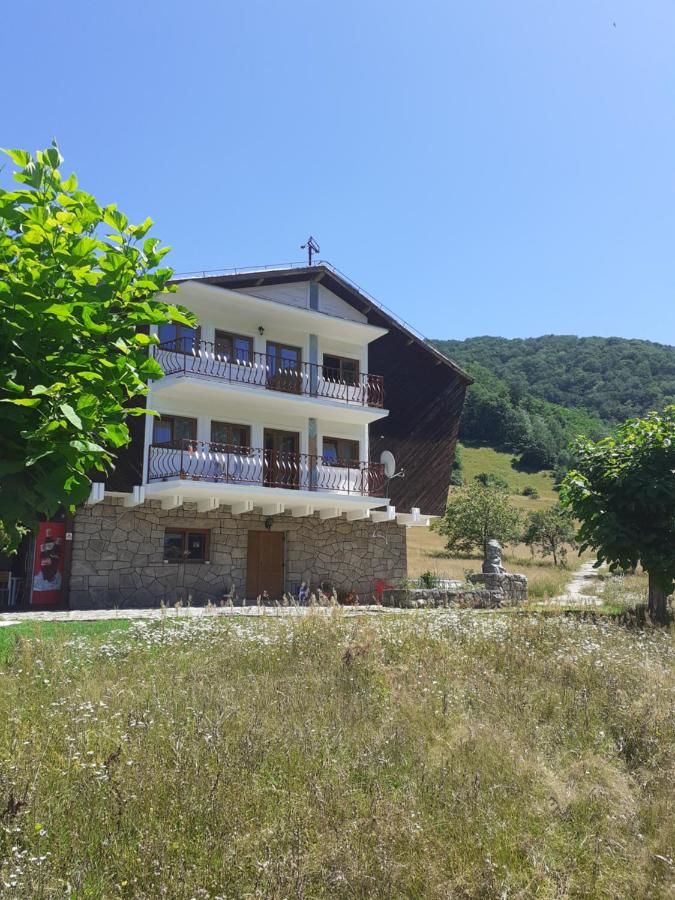Гостевой дом Cabana Costesti Costeşti-47
