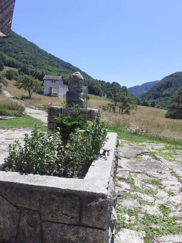 Гостевой дом Cabana Costesti Costeşti-45