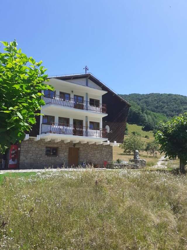 Гостевой дом Cabana Costesti Costeşti-46